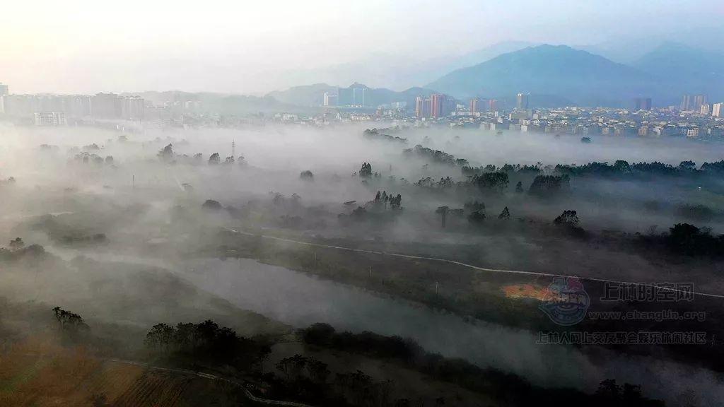 围甲深圳聂道队不敌杭州队暂列第九 辜梓豪憾负丁浩